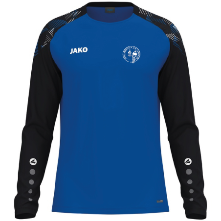 MAILLOT MANCHES LONGUES SONIC